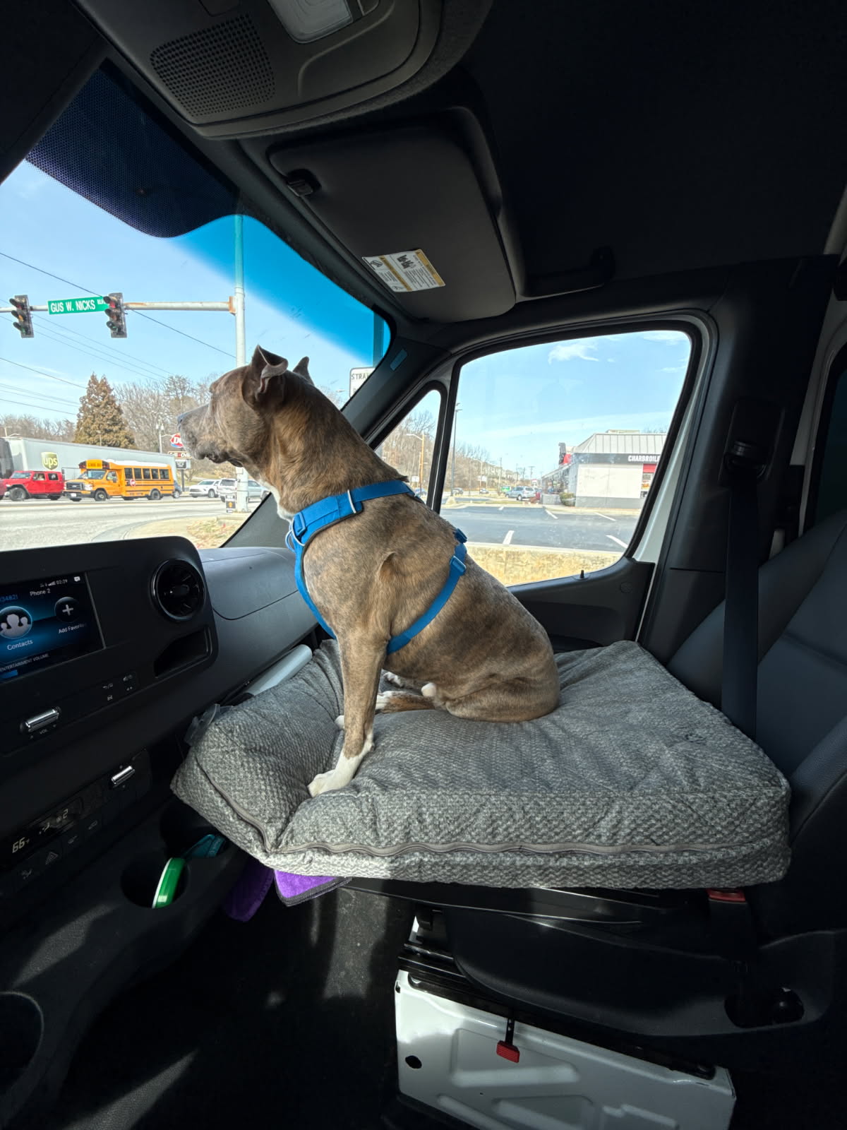 Pawssenger Seat - Presale 15% off use discount code: presale