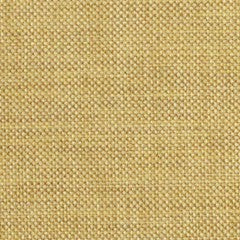 Nassimi Minetta 54" Polyester Fabric